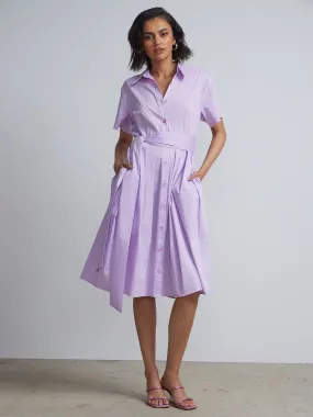 Belted Button-Front Flare Shirtdress