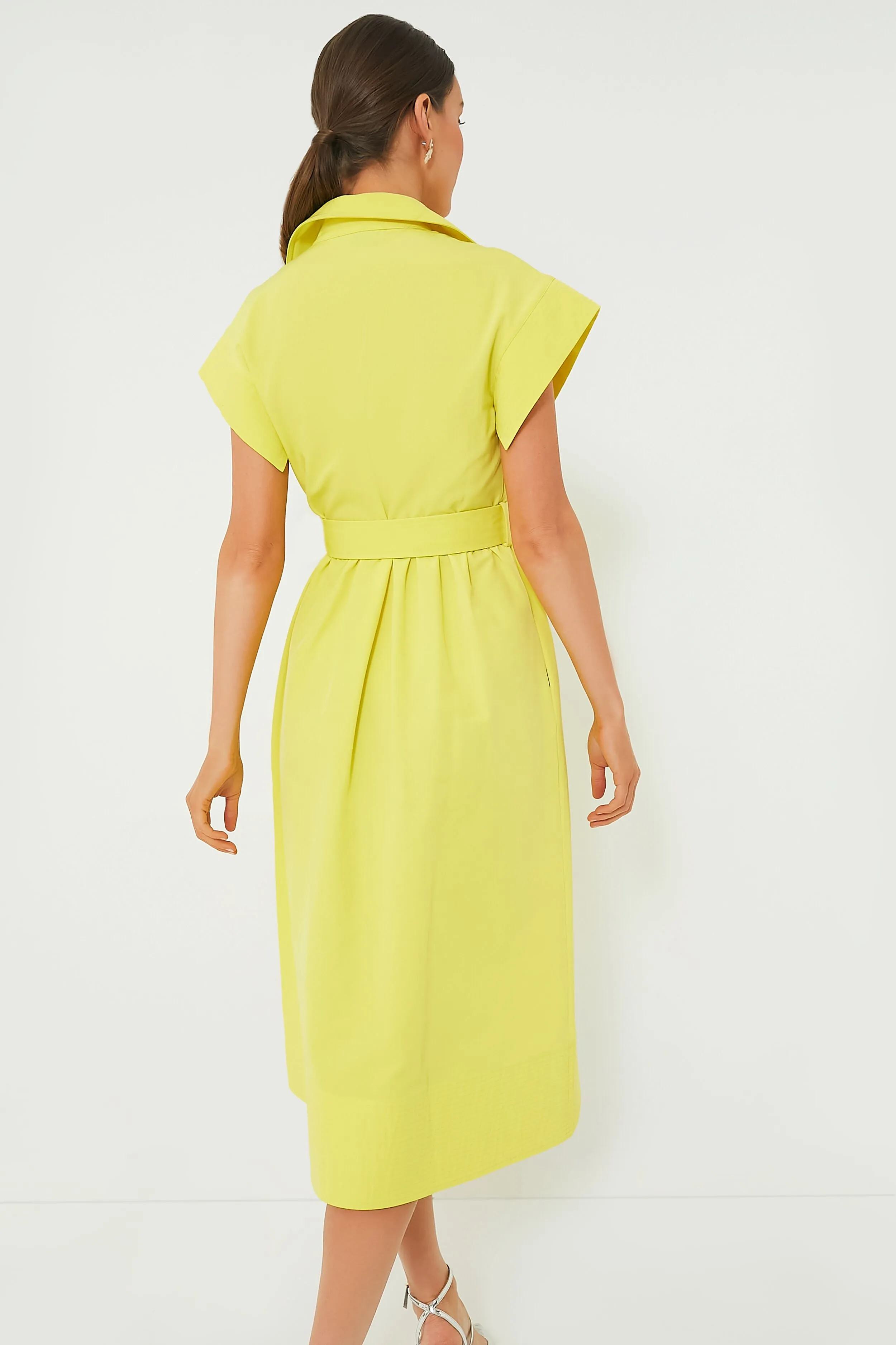 Citron Chloe Dress