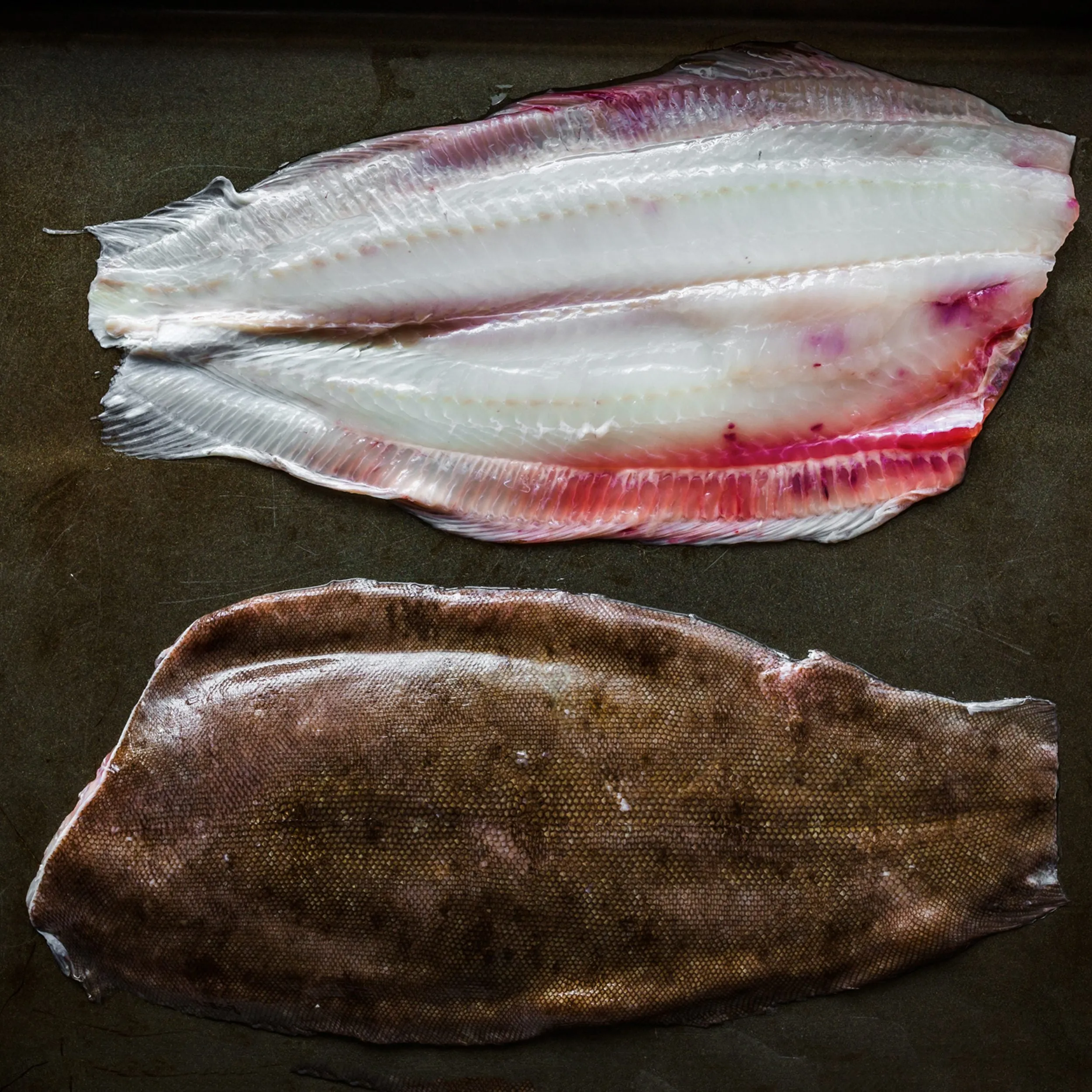 Farmed Dover Sole